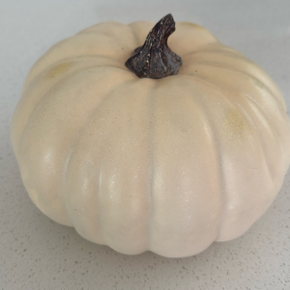Pottery barn faux fall pumpkin